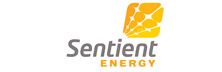 Sentient Energy: Transforming the 21st Century Distribution Grid